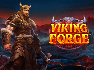 Viking Forge™