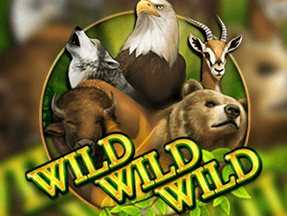 Wild Wild Wild