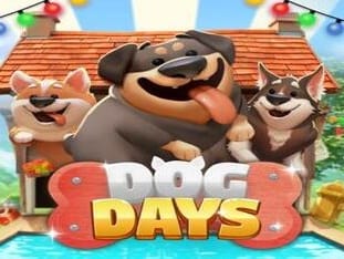 Dog Days