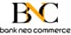 BSI Transfer logo